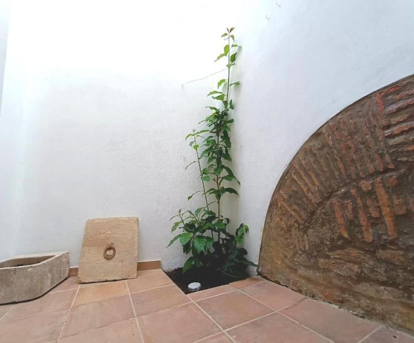 10 Maria - Faro Villa Kültér fotó